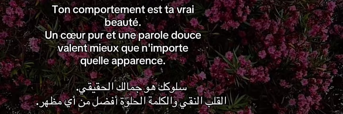 eurasienne🌻 banner