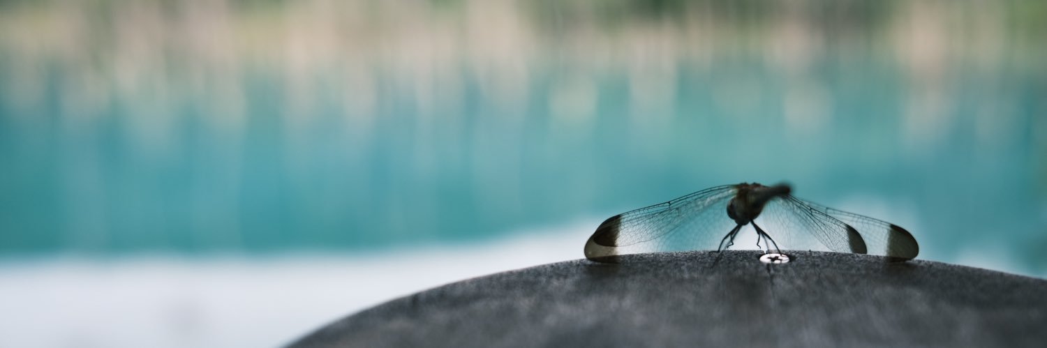 🍥番号冷凍Ink banner