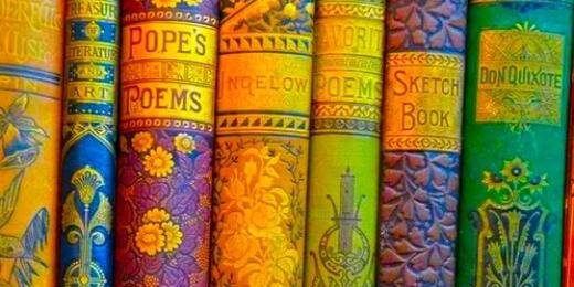 Zebunnisa Burki's banner