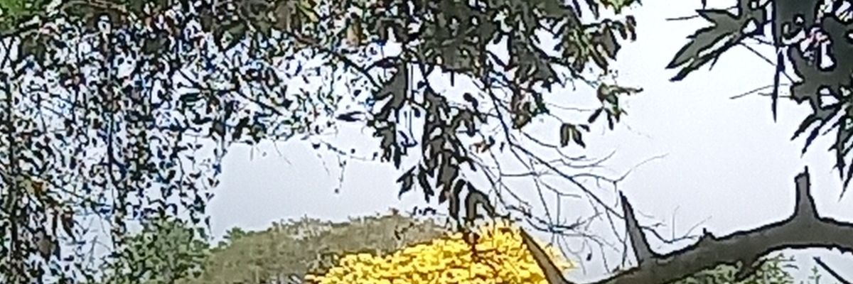 JESUSFORESTA's profile banner image