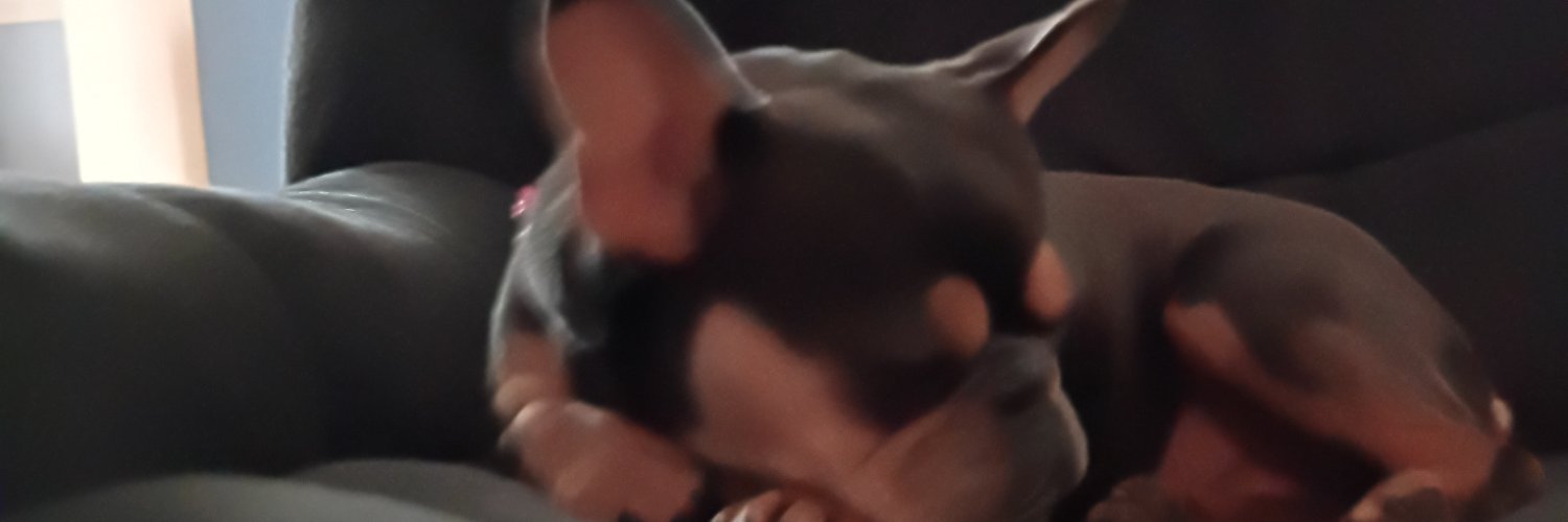 Externlsugarfan's profile banner image