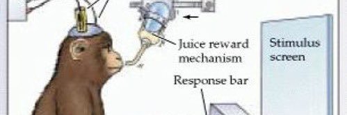 ️️Fine Ass Girl banner