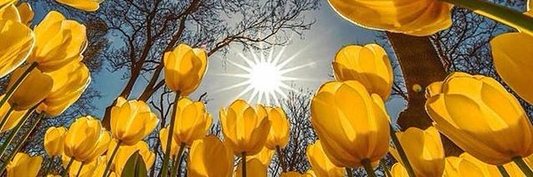 funkydesign Profile Banner