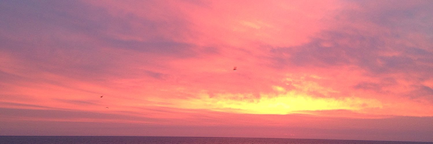 gemma_elmore's profile banner image
