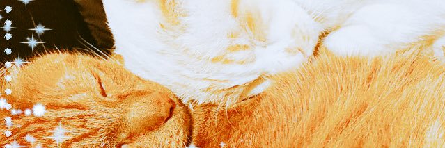 kumikoikebe's profile banner image