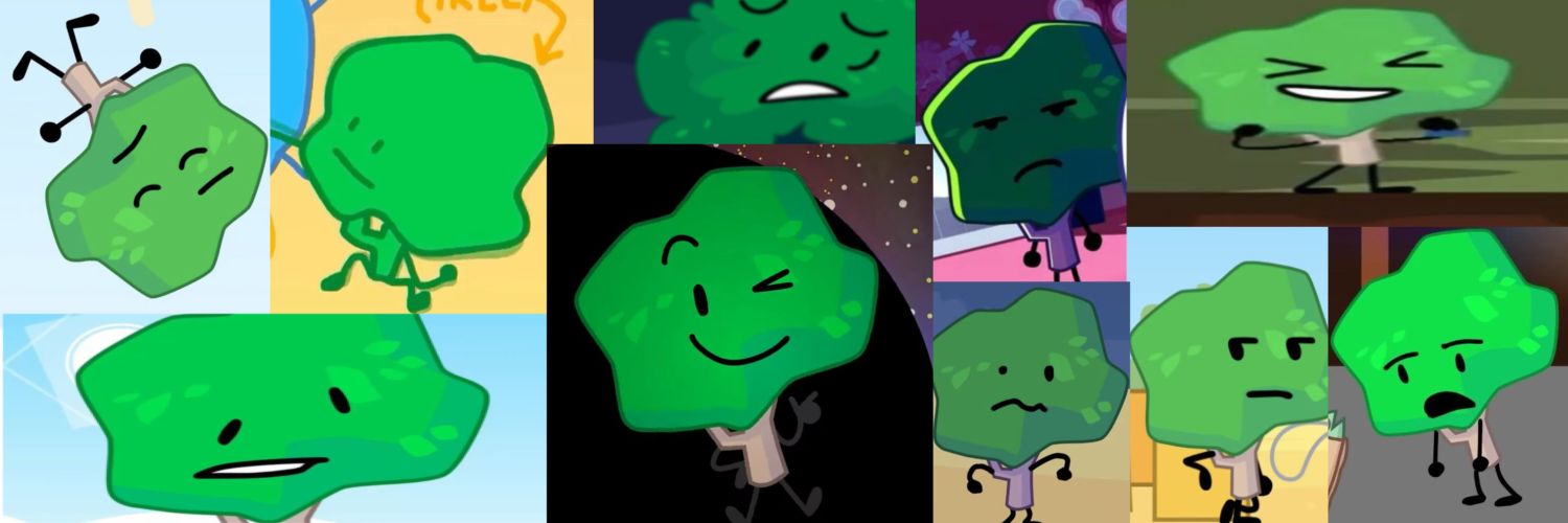 Daily Tree banner