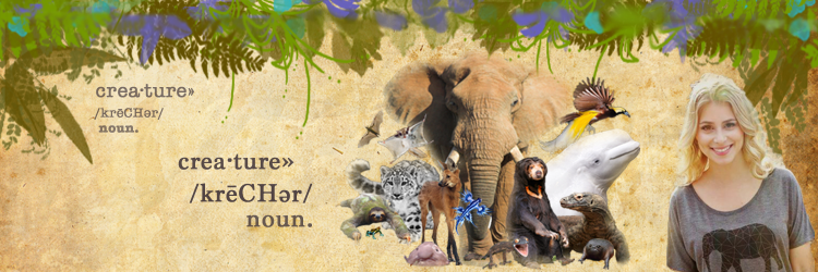 Featured Creature banner