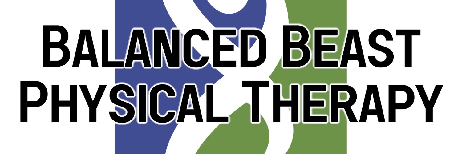 BalancedBeast's profile banner image