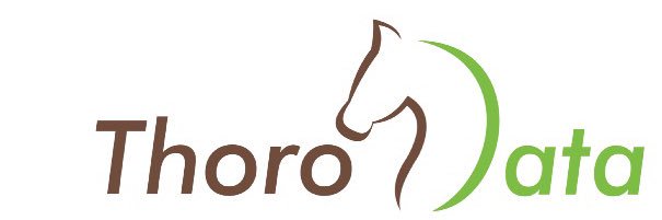 ThoroData banner
