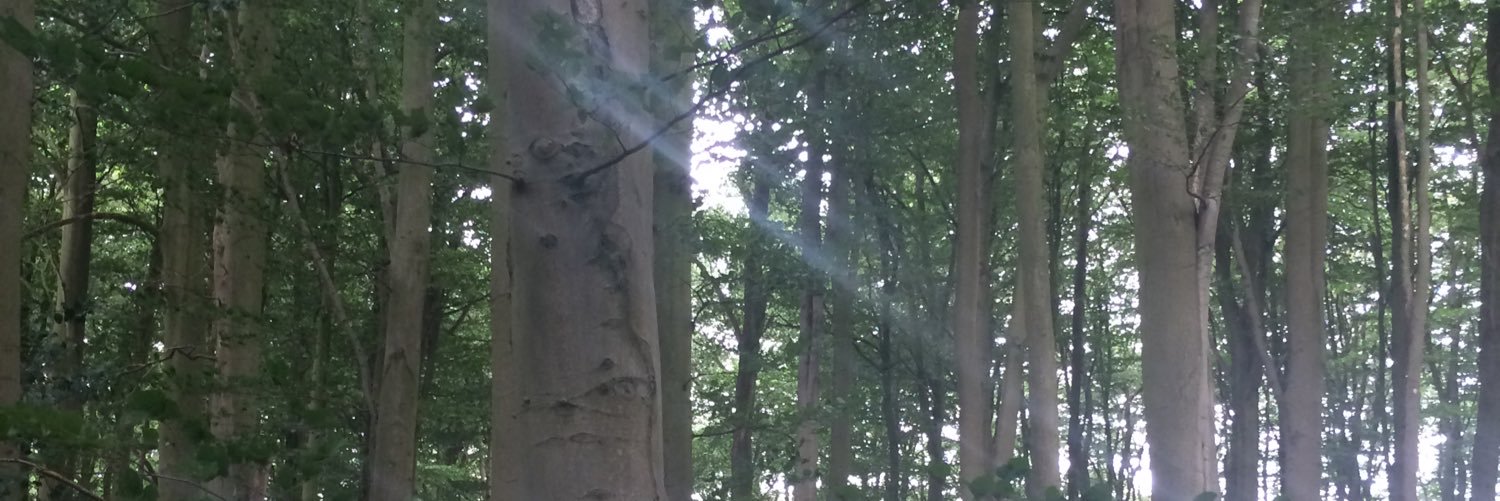 MandyJayne73's profile banner image