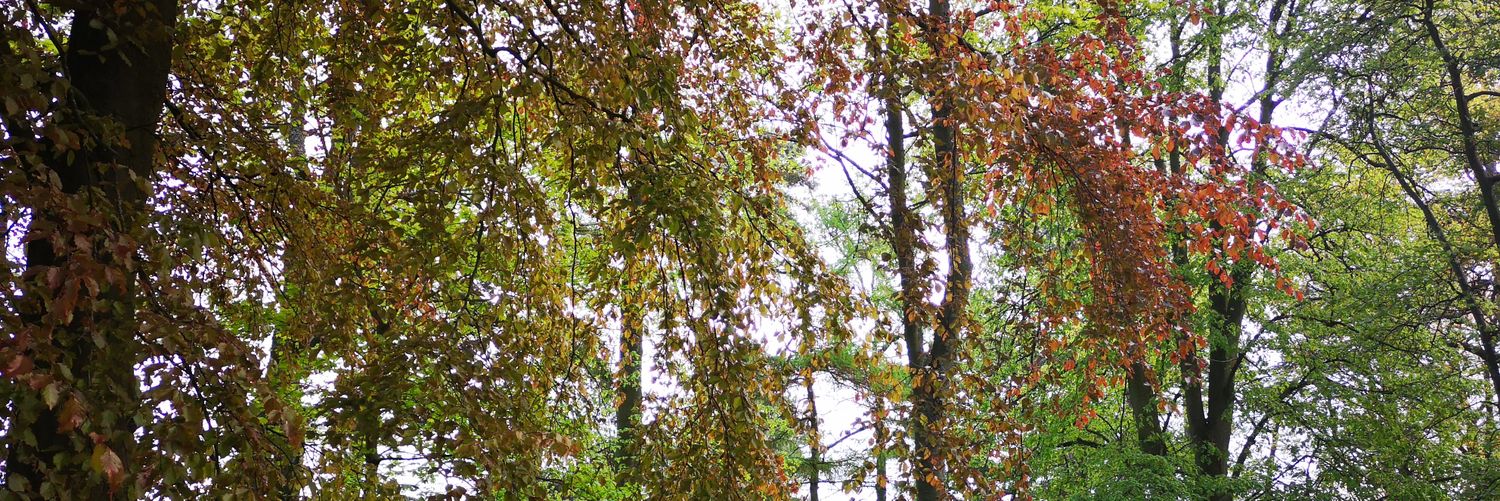 alexsanmark's profile banner image
