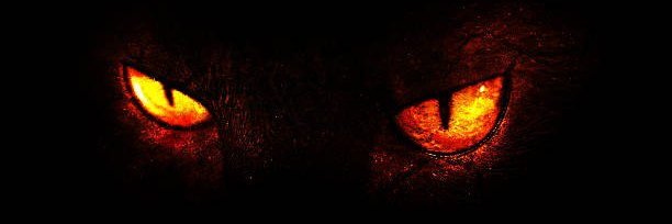 💋 DigiLilith 😈's banner