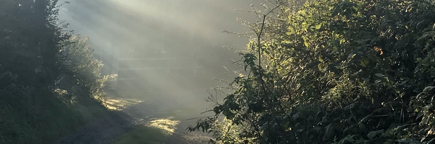 eelykcir's profile banner image