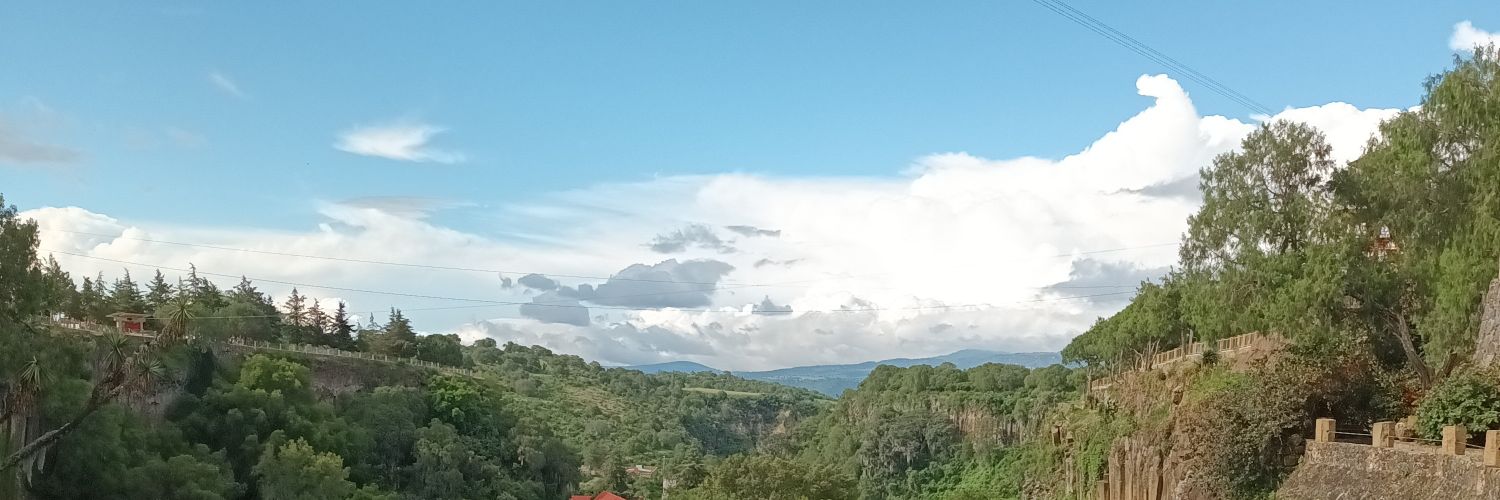 Ramón banner