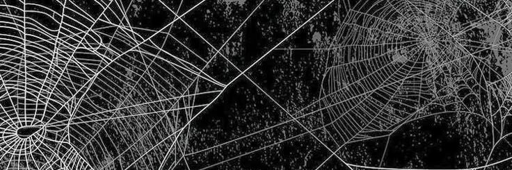 VexTheSkunkBat's profile banner image