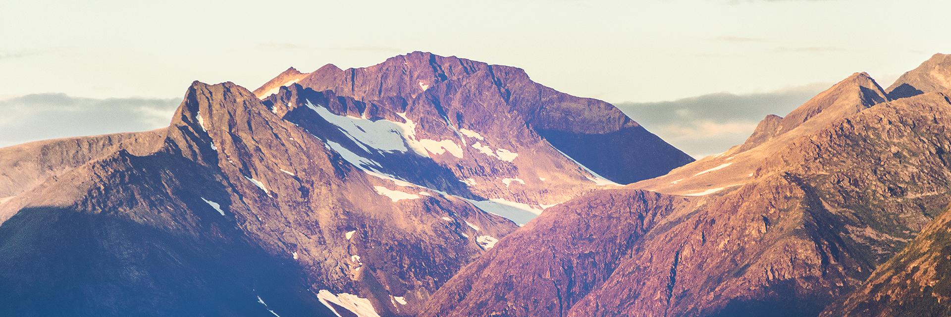 mfzlhtt's profile banner image