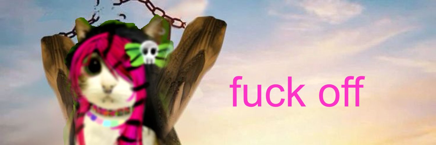 turntechgrl's profile banner image