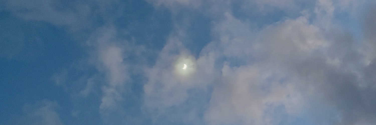 碌 🌫️ roku banner