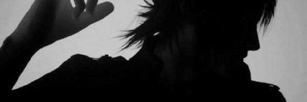 lionceum Profile Banner