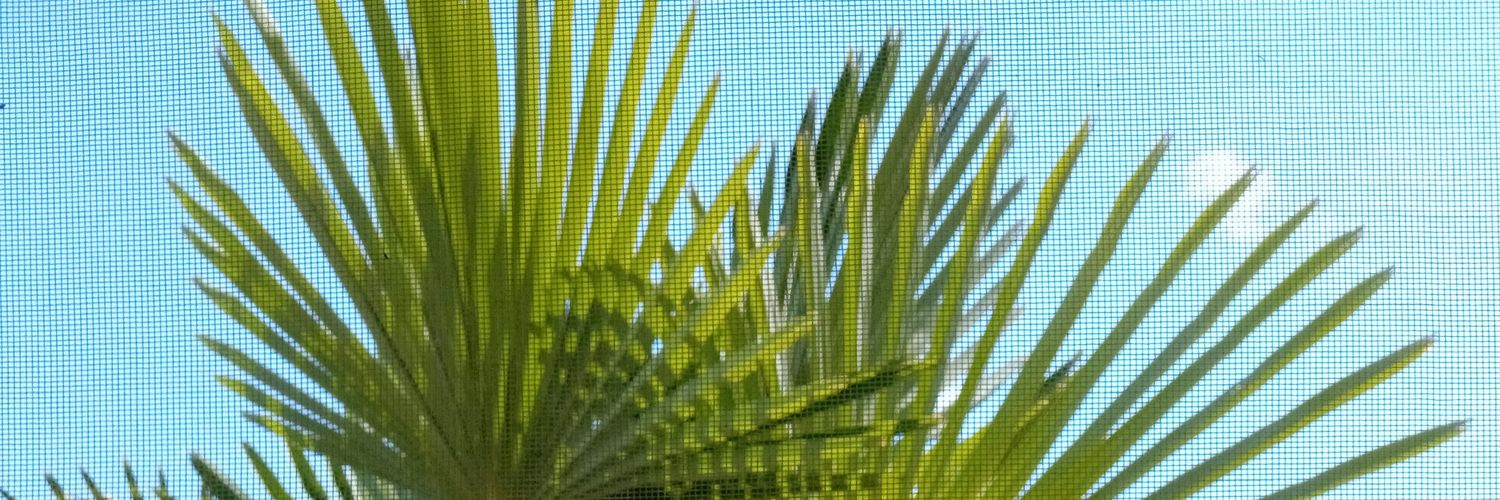 preusslein's profile banner image