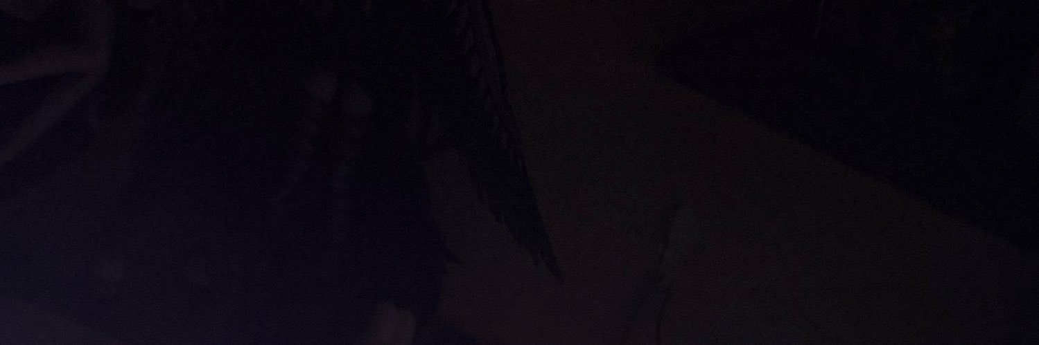 kr_220a's profile banner image