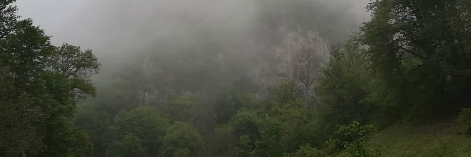 edrisay's profile banner image