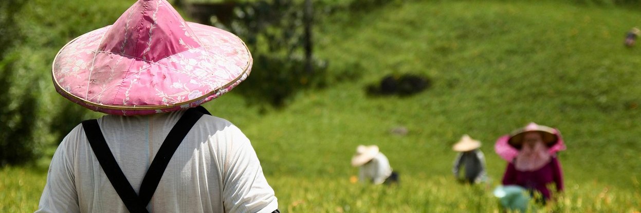 Ingrid Gibbs banner