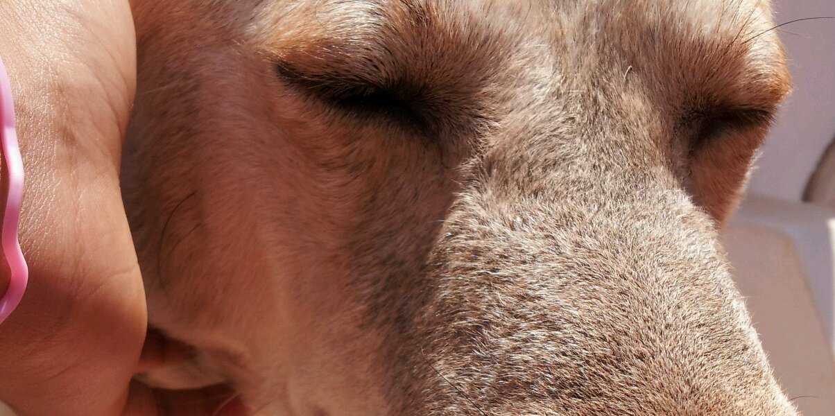 AcaymoFiguera's profile banner image