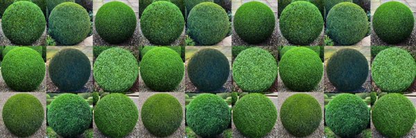 jamestodman Profile Banner