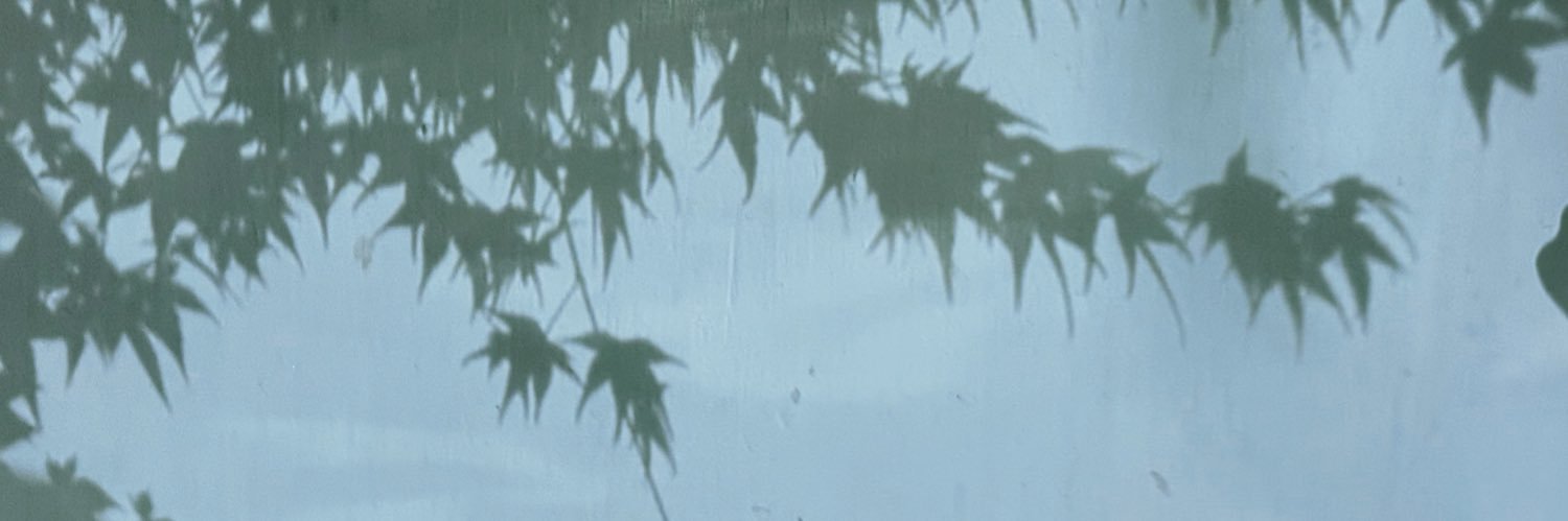 vegetable_fr's profile banner image