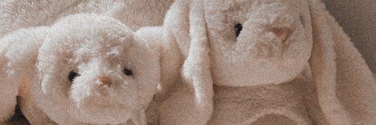 carina deluca 𖤓 banner