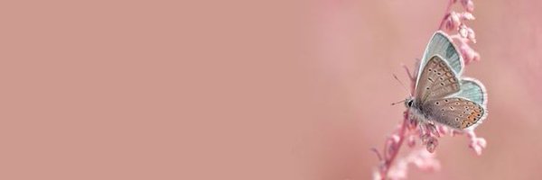 aiman0__ Profile Banner