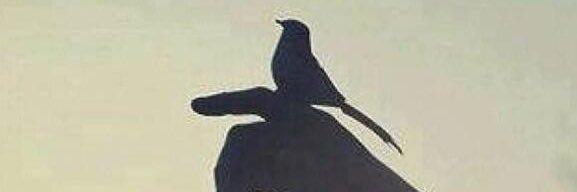 البتـــول ❄︎✯ banner