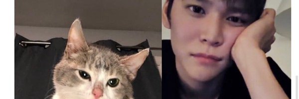 pink1bbin Profile Banner