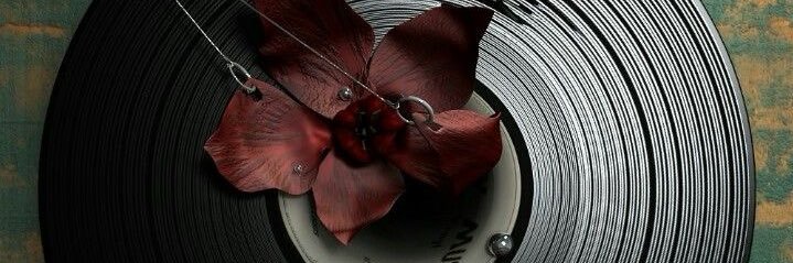 ســـــــــول banner