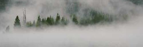 wzb1156524's profile banner image