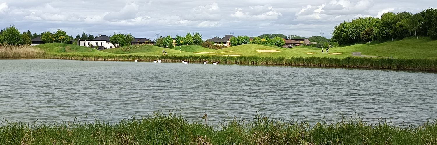 Birdie1 banner