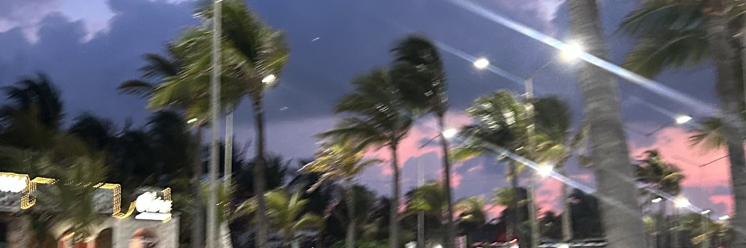 fern_mta's profile banner image