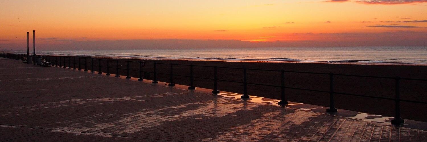 bartnelis's profile banner image