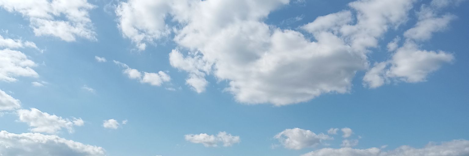 subkinboshi's profile banner image