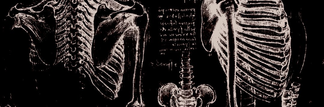 experimentIV's profile banner image