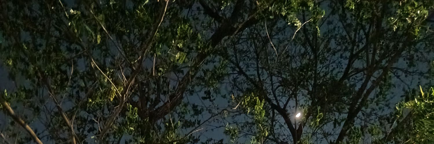 fasean 𝜗ৎ °. banner