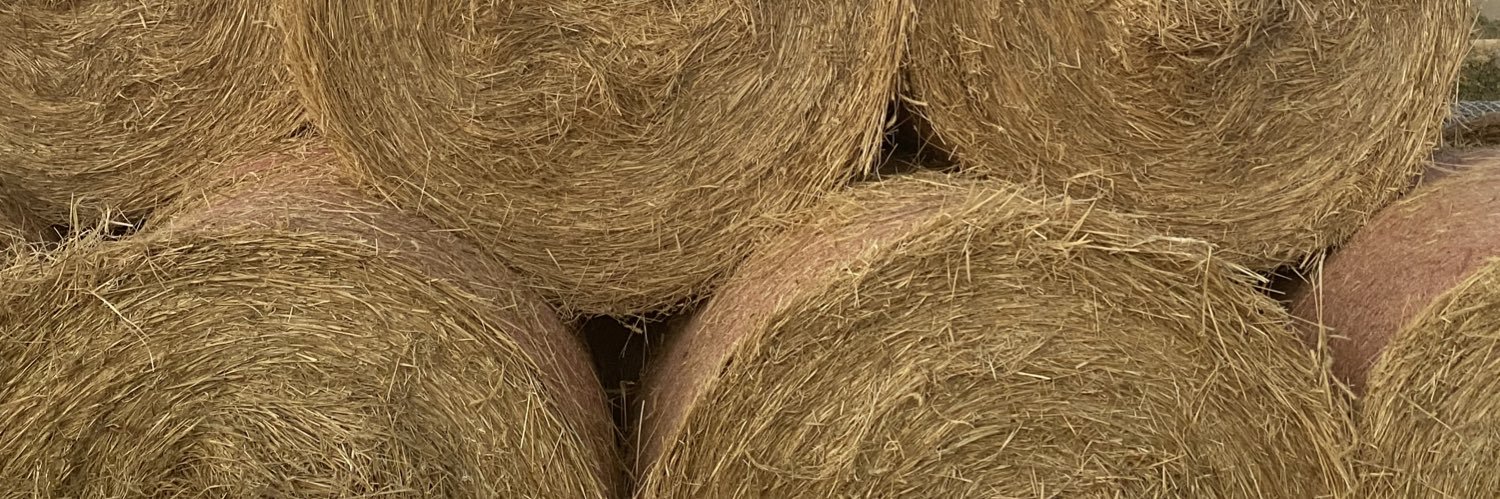 Jbargua's profile banner image