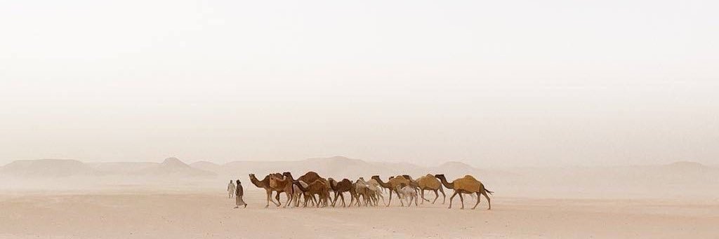 ْ banner
