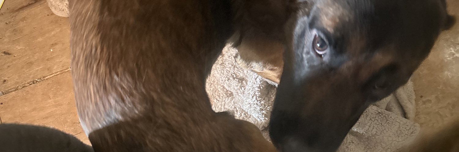 Ash | 76 days purge free! recovery | rate limited banner