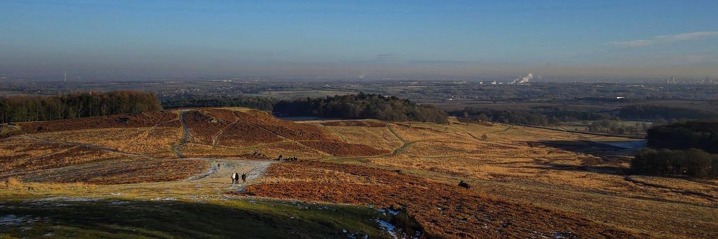 Neil Blowfield banner