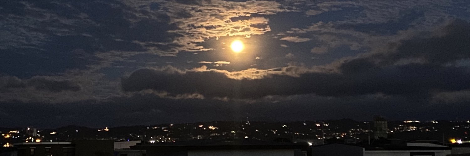 • 🌺𝓜𝓮𝓻𝓵𝓲𝓪 𝓭𝓮𝓼𝓲𝓵𝓿𝓪🌺 • 2nd 𝐚𝐜𝐜 • banner