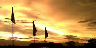Januar Harris banner