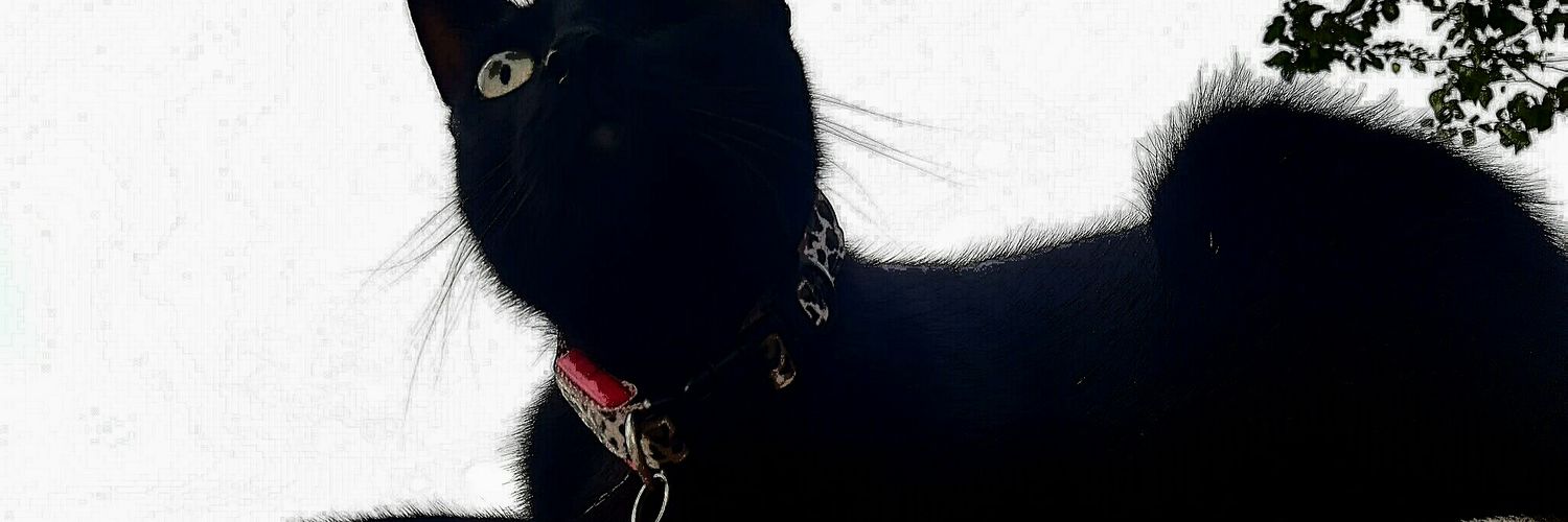 ilbey64's profile banner image