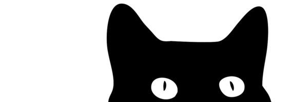 timurcelikyay's profile banner image